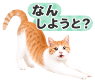 845252036