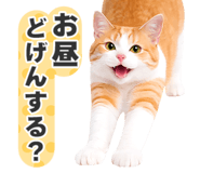 845252045