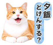 845252046