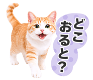 845252047