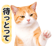 845252050