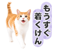 845252052