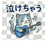 845252065