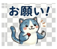 845252080