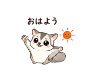 845252529