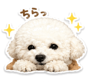 845253020