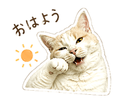 845253025