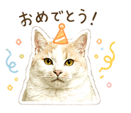 845253033