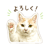 845253035