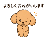 845253285