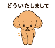 845253287