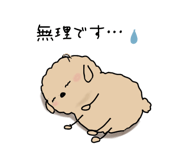 845253414