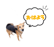 845255209