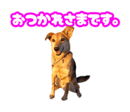 845255210