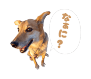 845255214