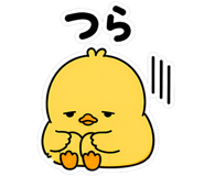 845255866