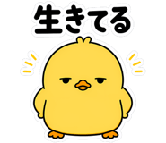 845255877