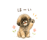 845255944