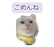 845256365