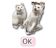 845256366