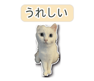 845256368