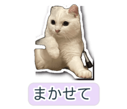 845256370