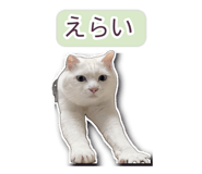 845256374