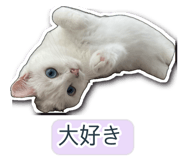845256375