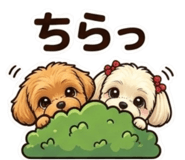 845256817