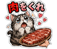 845257062