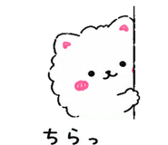 845257120
