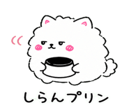 845257135