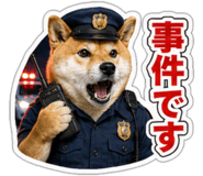 845257505