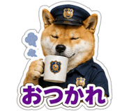 845257507