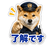 845257509
