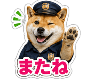 845257513