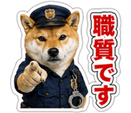 845257517