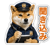 845257520