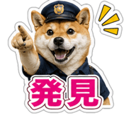 845257527
