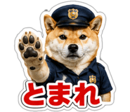845257528