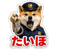 845257529