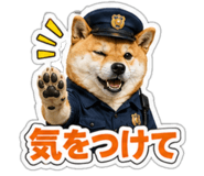 845257533