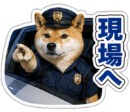 845257534