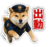 845257543