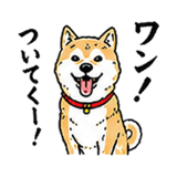 845258344