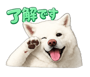 845259131