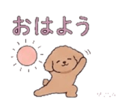 845259666