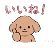 845259675