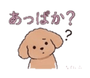 845259680