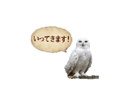 845259890